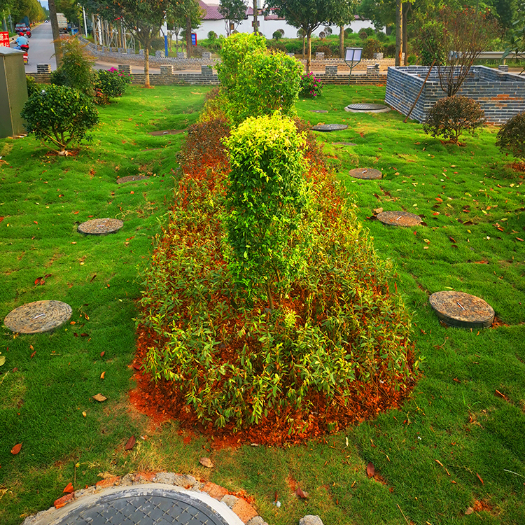 �Ĵ�����ĳ������˾���ƾ�����ˮ�����豸